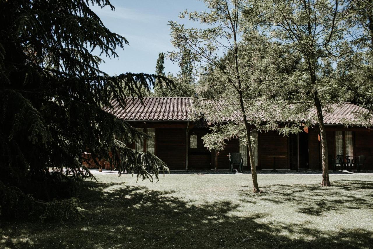 L'Anfora Country Club Bed & Breakfast Basciano Dış mekan fotoğraf